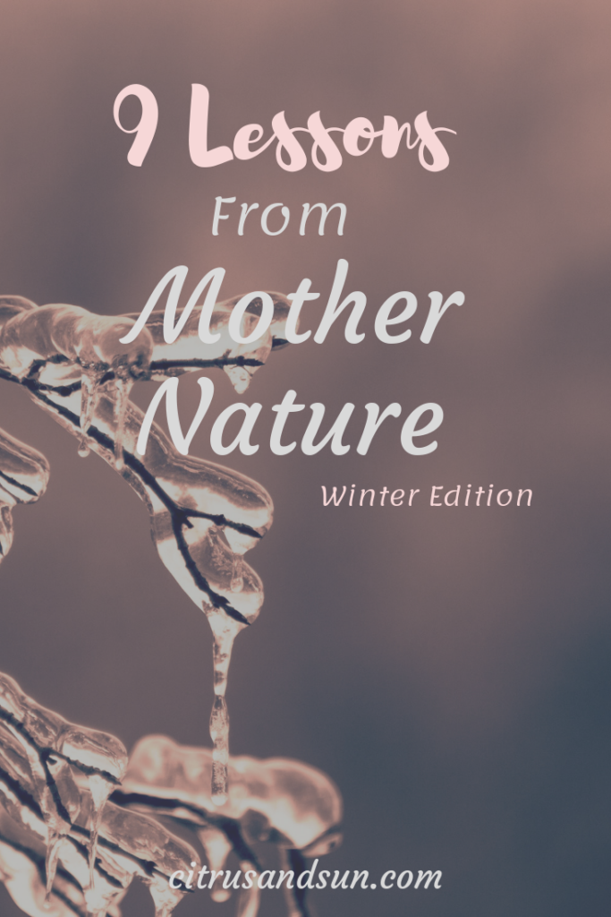 Pin-Lessons I've learned from Mother Nature Winter