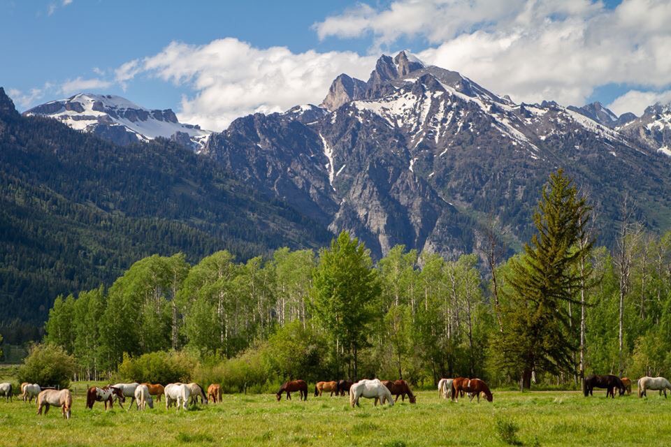 Nature mountains