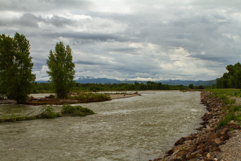 Nature river