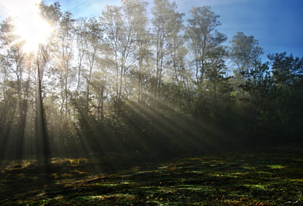 setting a morning intention for good vibes