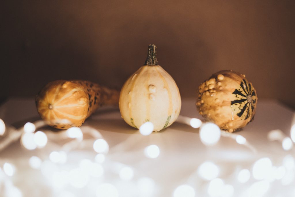 Autumn Gourds